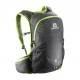 Salomon Trail 20 bag gris / vert