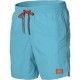 oneill vert shorts blue