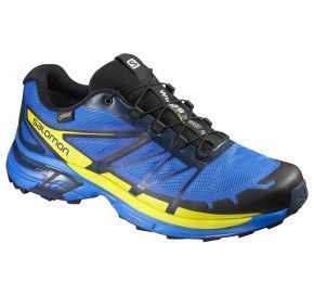 SALOMON Shoes WINGS PRO 2 GTX® BL/GECKO GREE/BL 