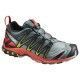 SALOMON Shoes XA PRO 3D GTX® North Atla/FIERY RE 